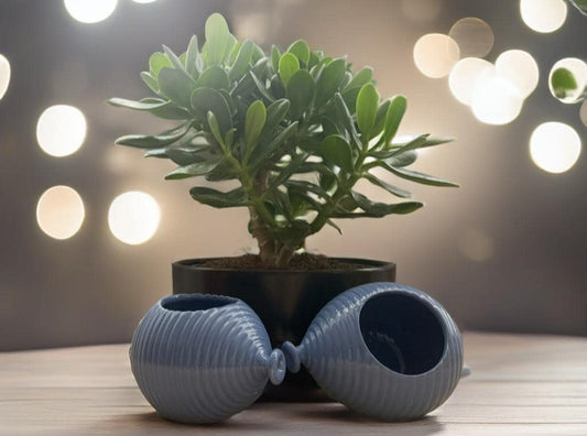 Palloncino rigato vaso/candela Blu